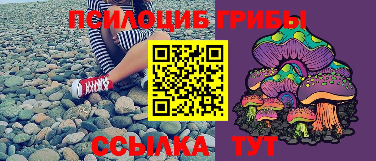 Псилоцибиновые грибы Psilocybine cubensis  Вход с VPN  где продают   Галлюциногенные грибы Psilocybine cubensis  Тольятти 